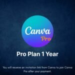 1 year pro plan