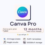 1 year pro plan