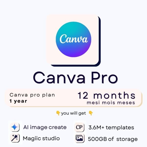 1 year pro plan